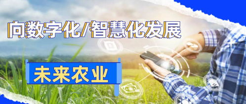 數字化鄉村智能管理 引領農業革命，助推農民增產致富